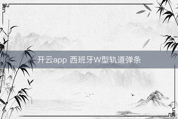 开云app 西班牙W型轨道弹条