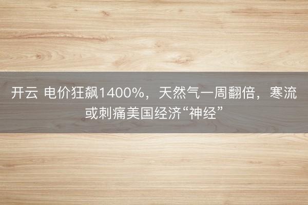 开云 电价狂飙1400%,天然气一周翻倍,寒流或刺痛美国经济“神经”