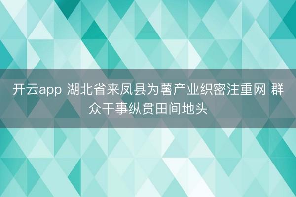 开云app 湖北省来凤县为薯产业织密注重网 群众干事纵贯田间地头