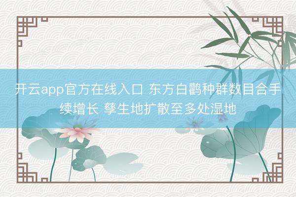 开云app官方在线入口 东方白鹳种群数目合手续增长 孳生地扩散至多处湿地